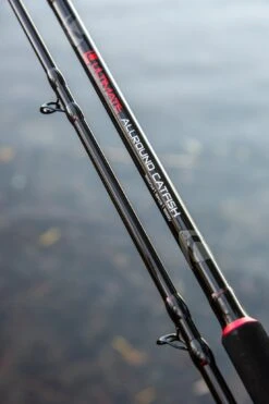 Ultimate Allround Catfish 300cm, Meervalhengel 25 Ultimate Allround Catfish 300cm, Meervalhengel -Goedkope Vissen Winkel 118dbeada876c8d2