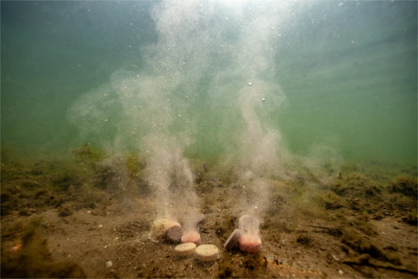 Ultimate Baits Up & Down Tablets 300gr.20mm. Sweet/Fruit 2 Ultimate Baits Up & Down Tablets 300gr.20mm. Sweet/Fruit - Afbeelding 2