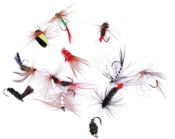 Ultimate Fly Selection 12pcs 5 Ultimate Fly Selection 12pcs - Afbeelding 5