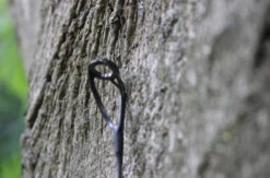 Ashima FFX-P 10ft 3lb -Goedkope Vissen Winkel 6d1300dab89f2583