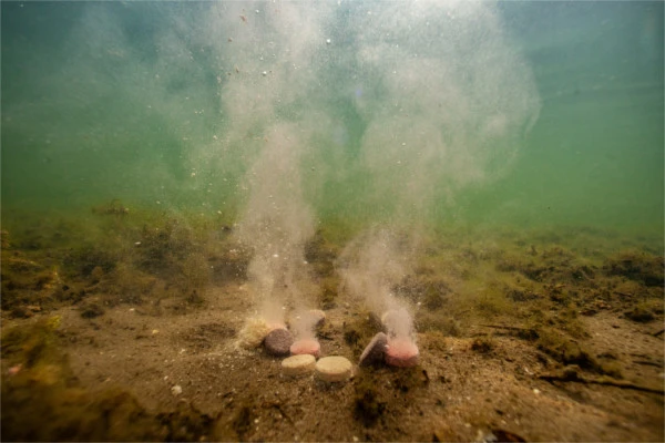 Ultimate Baits Up & Down Tablets 300gr.20mm. Sweet/Fruit 1 Ultimate Baits Up & Down Tablets 300gr.20mm. Sweet/Fruit